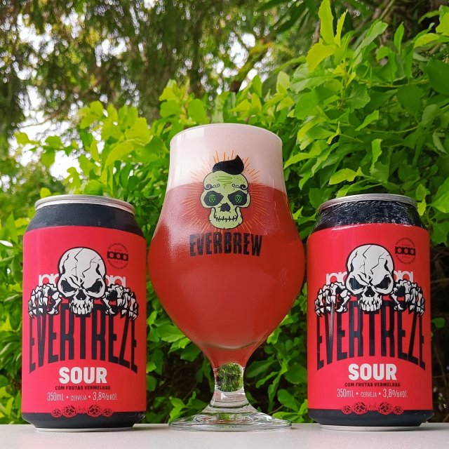 Lata Evertreze Sour de Frutas Vermelhas de 350ml da Linha Evertreze - Cervejaria Everbrew